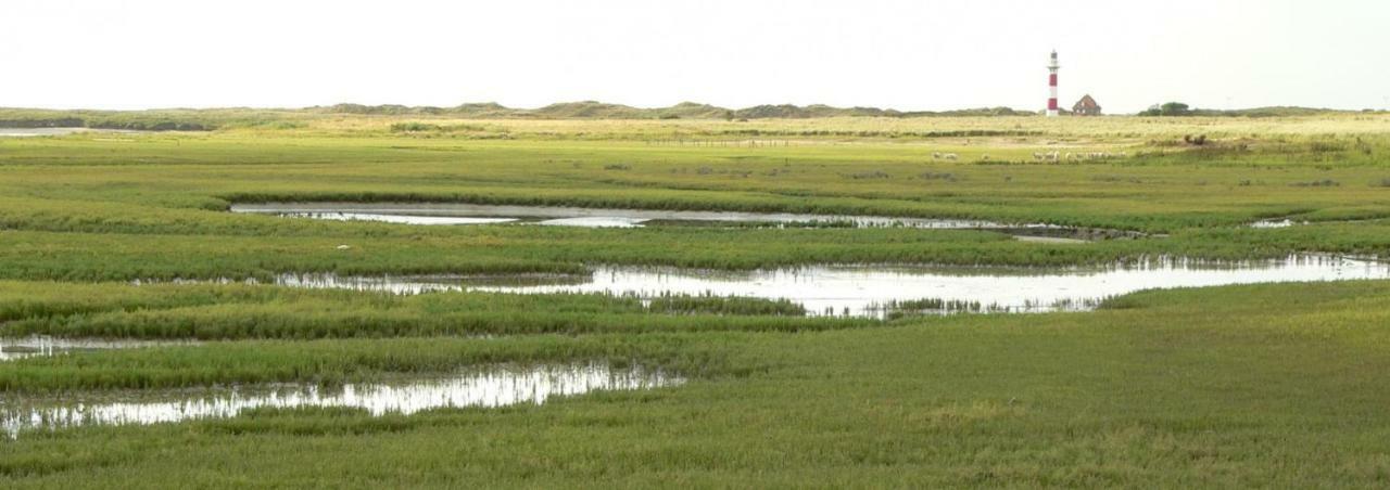 Studio De Zunneblomme Middelkerke Eksteriør billede